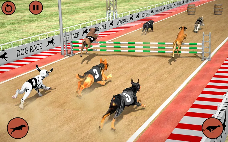 Cách Chơi Game Nhanh Đua Chó Tại 789Club Với Mẹo Hiệu Quả Tăng Tỷ Lệ Thắng