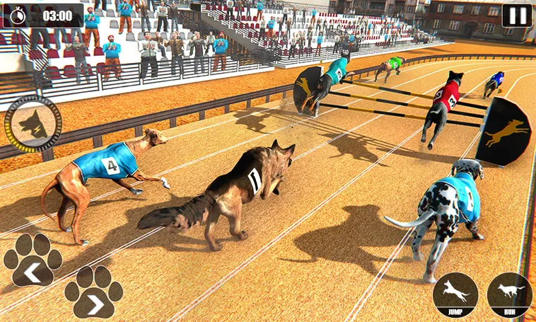Cách Chơi Game Nhanh Đua Chó Tại 789Club Với Mẹo Hiệu Quả Tăng Tỷ Lệ Thắng